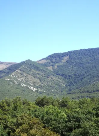 Гора острая Геленджик