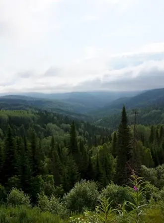 Горная Шория Кузнецкий Алатау