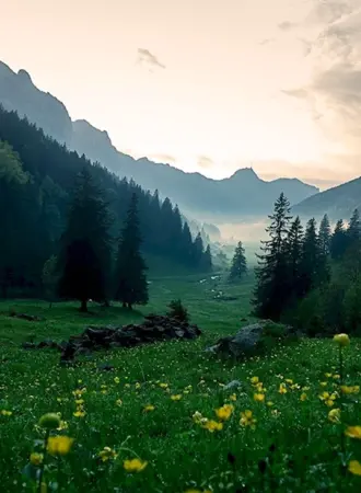 Горы и Луга