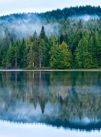 Карелия Тайга