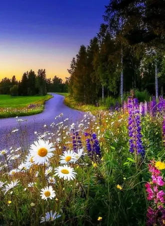 Летняя природа