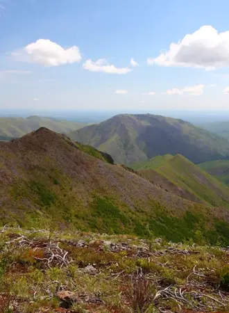 Маглой Амурский район