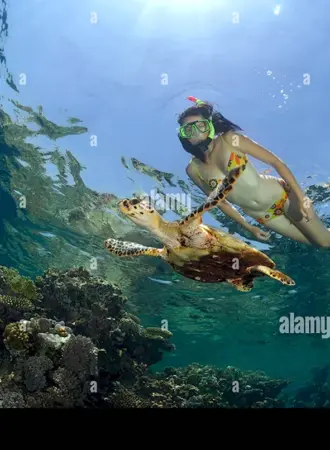 Marsa Alam снорклинг