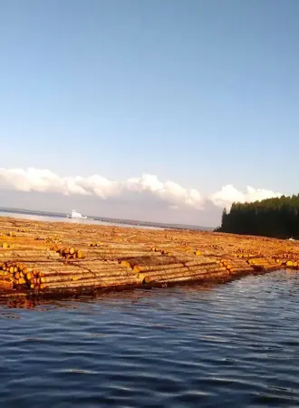 Молевой Лесосплав