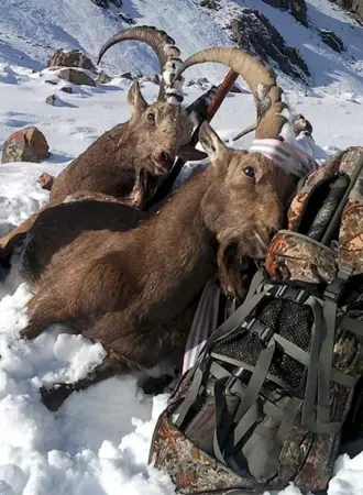 Охотничий туризм