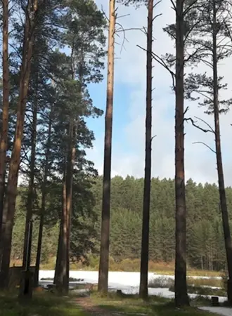 Осетровский пруд Белорецк база