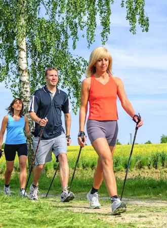Палки для скандинавской ходьбы Nordic Walking Pole