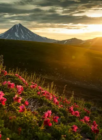 Петропавловск-Камчатский природа