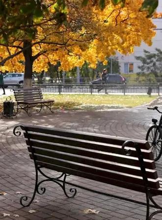 Раменское парк осень