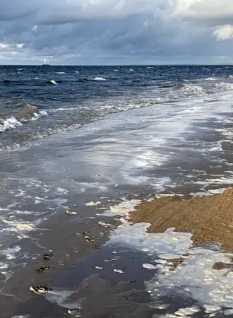 Рижский залив Балтийского моря