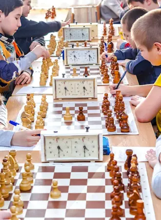 Шахматы и шашки белая Ладья