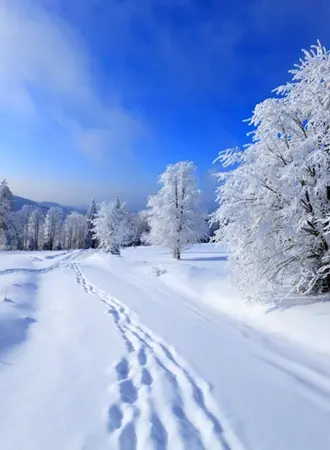 Снег