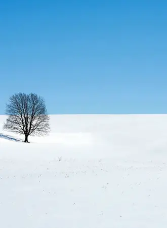 Снежное поле