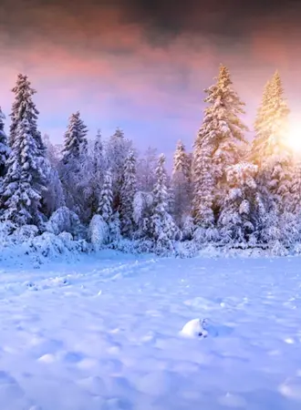 Снежный пейзаж
