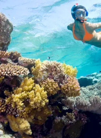 Снорклинг Шарм Эль Шейх