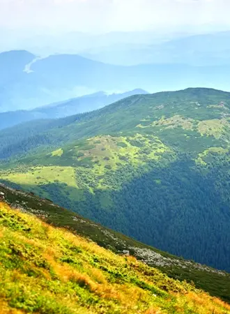 Треккинг Карпаты
