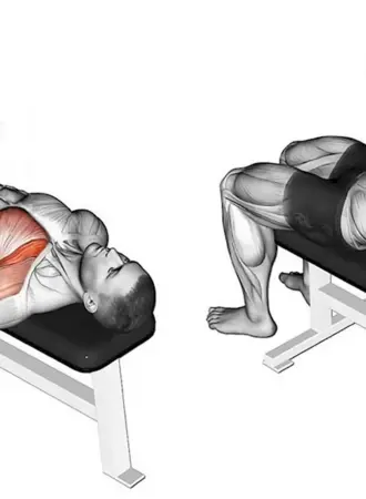 Упражнение Dumbbell Bench Press