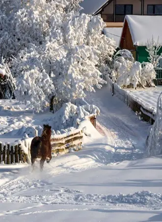 Зима в деревне