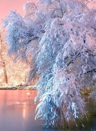 Зимняя красота